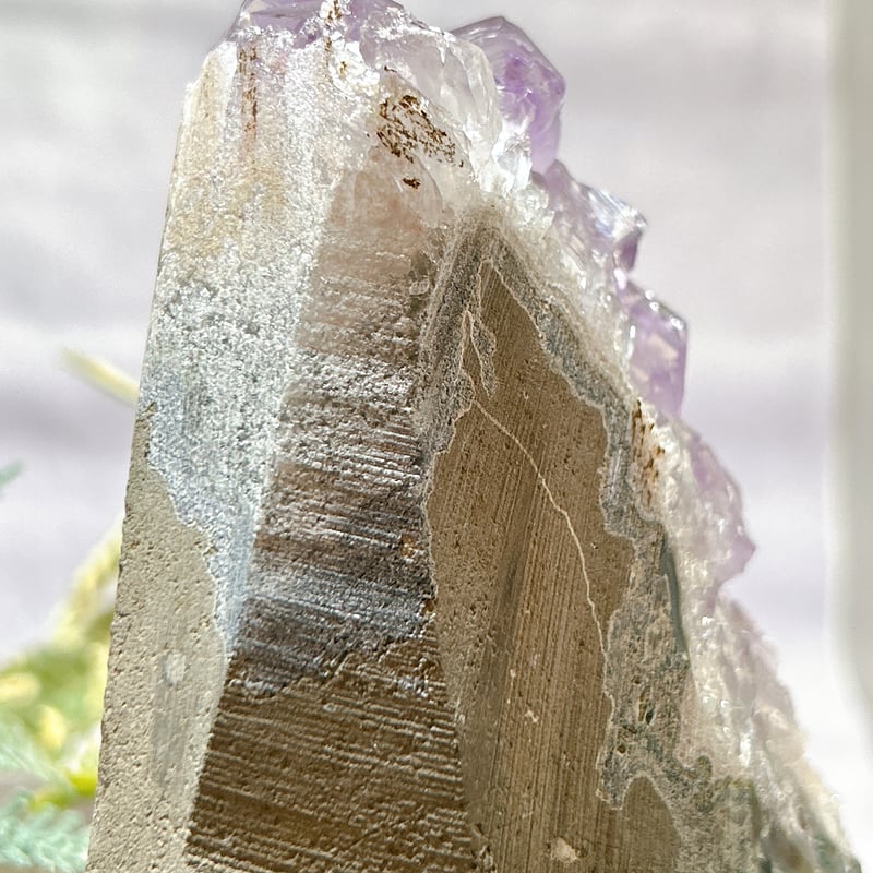 ウルグアイ産アメジスト クラスター | 霽月洞-seigetsudou-鉱物装身具