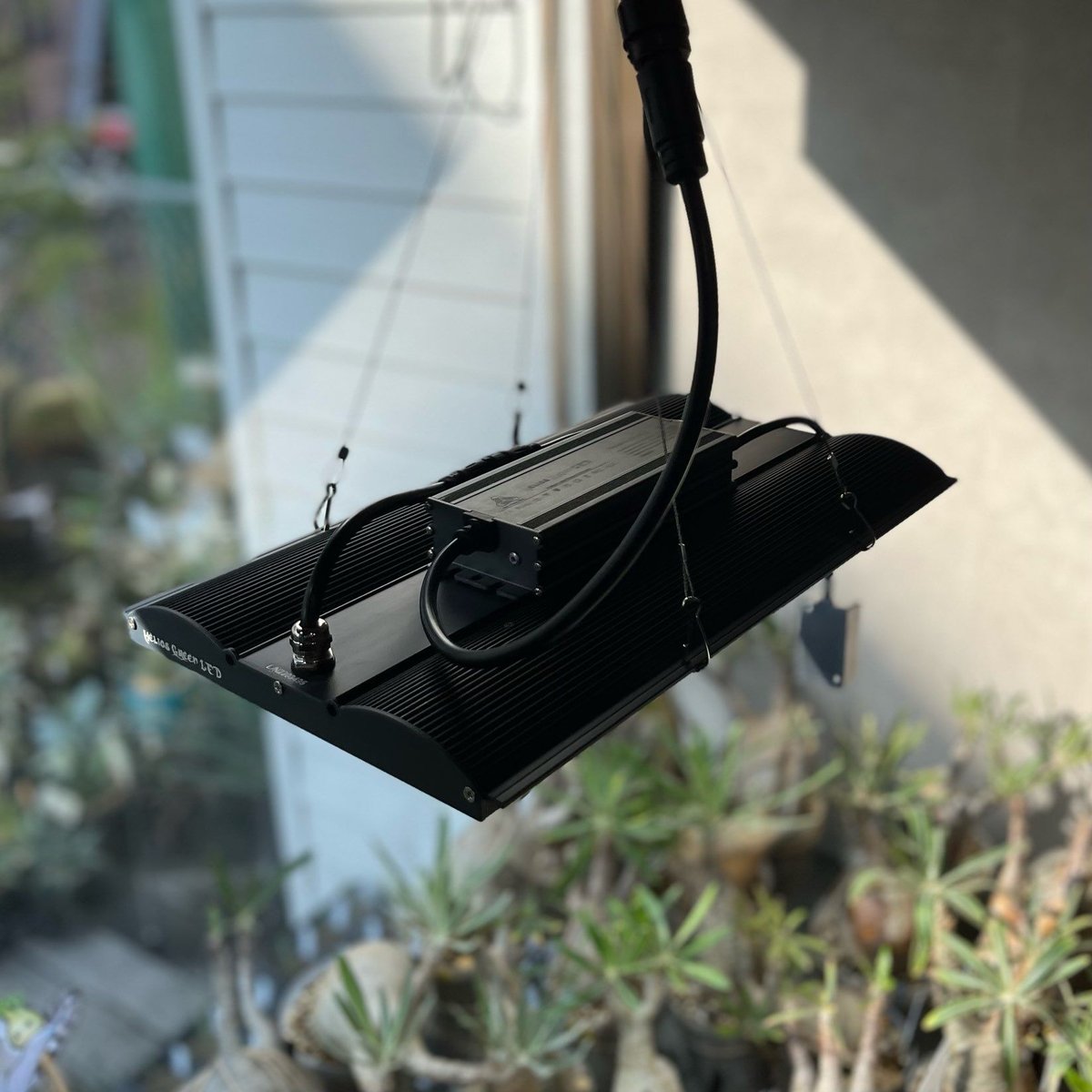 Helios Green LED PRO HGP-101 | 塊祭