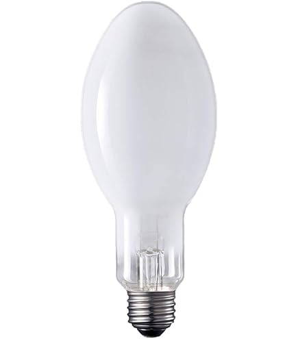 Amazon | 東芝 蛍光水銀ランプ（水銀灯） 蛍光形 100W E26口金 【単品