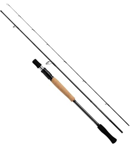 NORTHERN ROCK C80H ベイト 8フィート テイルウォーク NORTHERN ROCK