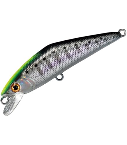 Amazon | スミス(SMITH LTD) トラウティンスピン マルチュース TRMK