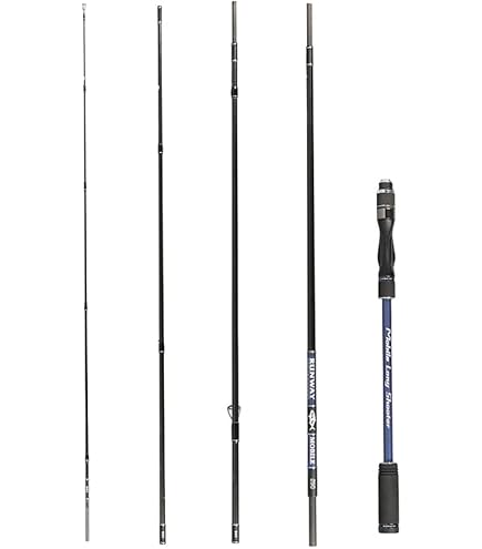 Amazon | ゼスタ(XESTA) ランウェイSLS S84 バーサタイルシューター