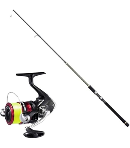 Amazon.co.jp: Ryobi Zauber Spinning釣りリール : スポーツ＆アウトドア