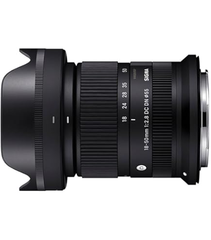 Amazon.co.jp: シグマ 170-500mm F5-6.3 APO DG ソニー用 : 家電＆カメラ