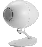 Amazon.co.jp: シロクマ タイムドメインライセンスモデルスピーカー