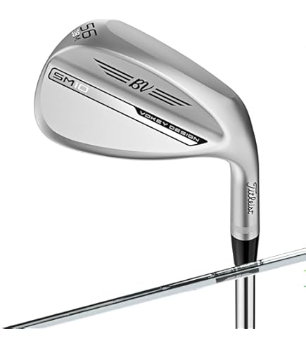 Amazon.co.jp: TITLEIST Utility 816H2 DG AMT S200 19 Utility