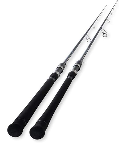 Amazon.co.jp: 天龍 Tenryu レイズ RZ632S-L Jerkin'モデル 渓流