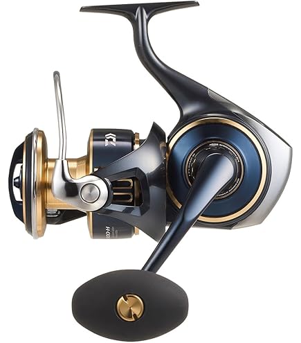 Amazon | ダイワ(Daiwa) スピニングリール 14 ソルティガ エクスペ