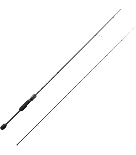 Amazon | アブガルシア(Abu Garcia) ショアジギング ロッド ベイト