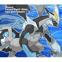 Amazon.co.jp: ニンテンドーDS ポケモンブラック2・ホワイト2 スーパー