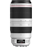 Amazon.co.jp: Canon 単焦点望遠レンズ EF300mm F2.8L IS II USM フル