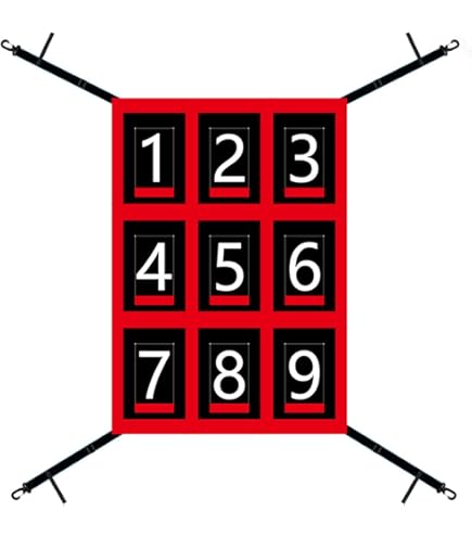 Amazon.co.jp: ターゲットコントロール FPN-1310P ストラックアウト