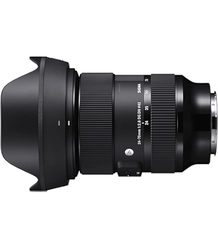 Amazon.co.jp: シグマ 120-300mm F2.8 APO EX DG HSM キヤノン用
