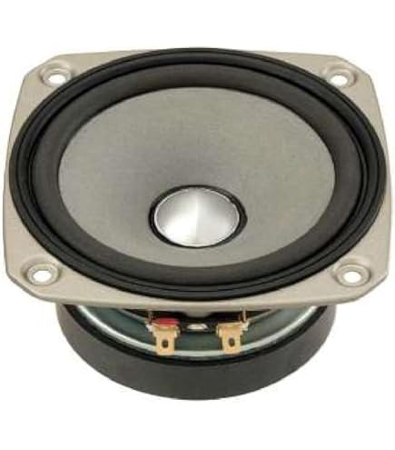 Amazon | Fostex 30cmバスレフ型 ウーハーユニットFW305 | スピーカー
