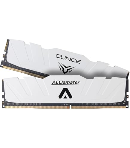 Amazon.co.jp: プリンストン デスクトップPC用 メモリ SK hynix純正