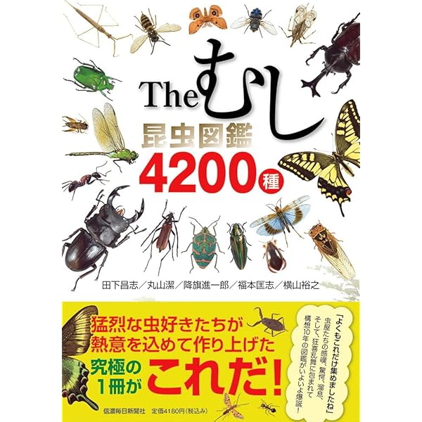 Amazon.co.jp: 原色昆虫大圖鑑 第2巻 甲虫篇 新訂版 : Japanese Books