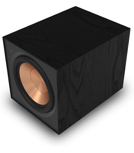 Amazon.co.jp: Klipsch サブウーファー R-100SW ［1本 /フルレンジ（1