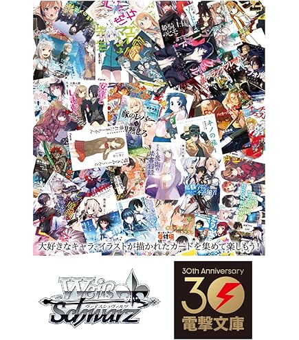 Amazon.co.jp: ヴァイスシュヴァルツ 電撃文庫 第四真祖と監視役(CC