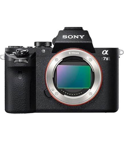 Amazon | ソニー SONY ミラーレス一眼 α6400 パワーズームレンズキット