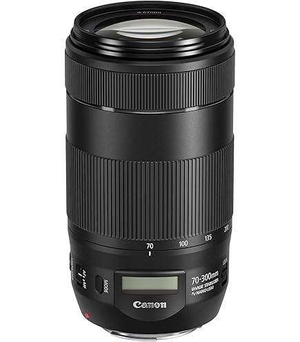 Amazon.co.jp: Canon レンズ EF-S55-250mm F4-5.6 IS STM : 家電＆カメラ