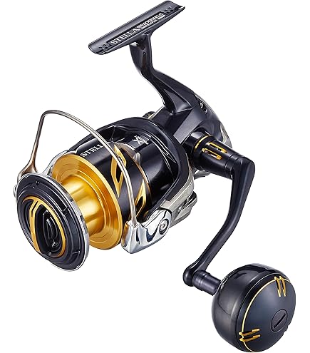 Shimano Reel 19 Stella SW 8000 HG : Amazon.com.au: Sports, Fitness