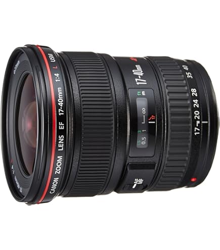 Amazon.co.jp: Canon 単焦点レンズ EF35mm F1.4L USM フルサイズ対応