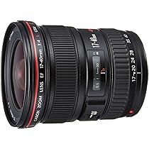 Amazon.co.jp: Canon 広角ズームレンズ EF17-40mm F4L USM フルサイズ