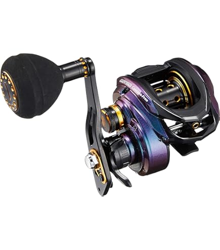 Amazon.co.jp: AbuGarcia (アブガルシア) OCEANFIELD BG 右巻き パワー