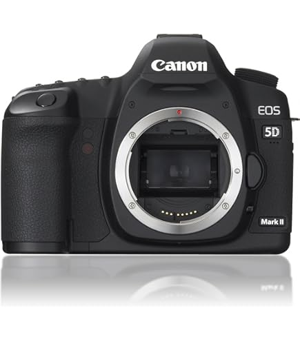 Amazon | Nikon D70 デジタル一眼レフカメラ レンズキット [AF-S DX