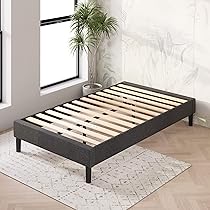 91SJP9Xd4NL._AC_UL210_SR210,