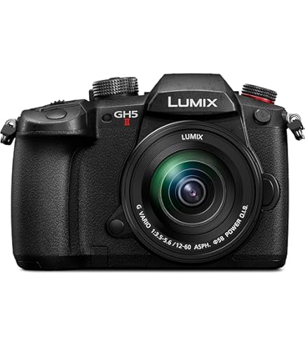 Amazon | パナソニック(Panasonic) ミラーレス一眼カメラ ルミックス