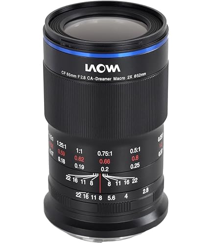 Amazon.com : Laowa 65mm f/2.8 2X Ultra Macro APO Lens (Canon EF-M
