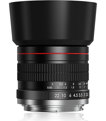 Amazon.com : Tamron AF 28-75mm f/2.8 SP XR Di LD Aspherical (IF