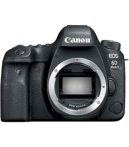 Amazon.com : Canon EOS 6D EF24-105mm is STM Kit Black : Electronics