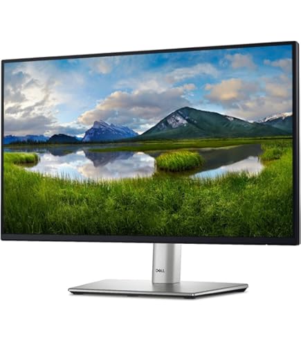 Amazon.com: Dell UltraSharp U2421HE 23.8 inch LED FHD USB-C