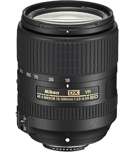 Nikon AF-P DX NIKKOR 70-300mm f/4.5-6.3G ED VR : NIKON: Amazon.ca