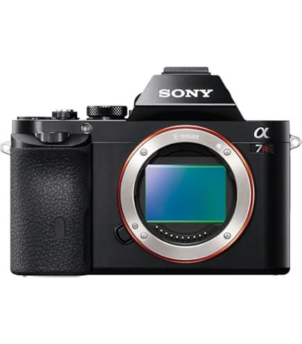 Amazon.com : Sony ILCE7S/B Alpha a7S Mirrorless Digital Camera