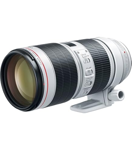 Amazon.com : Canon EF 70-200mm f/2.8L Is III USM Lens for Canon