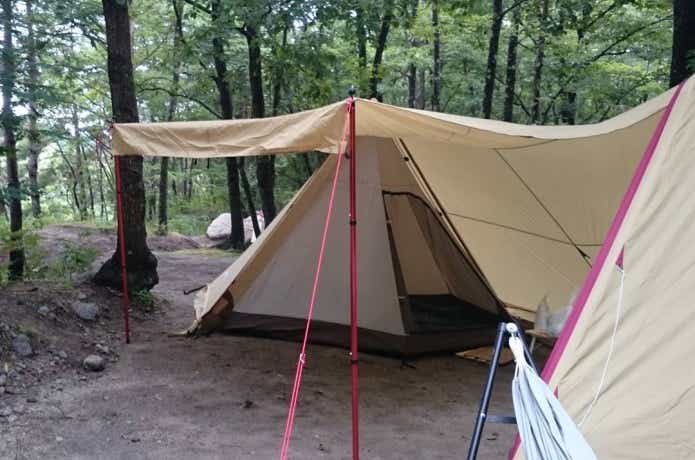 違いが知りたい！「ツインピルツフォーク」と「ランステpro.M」を比較