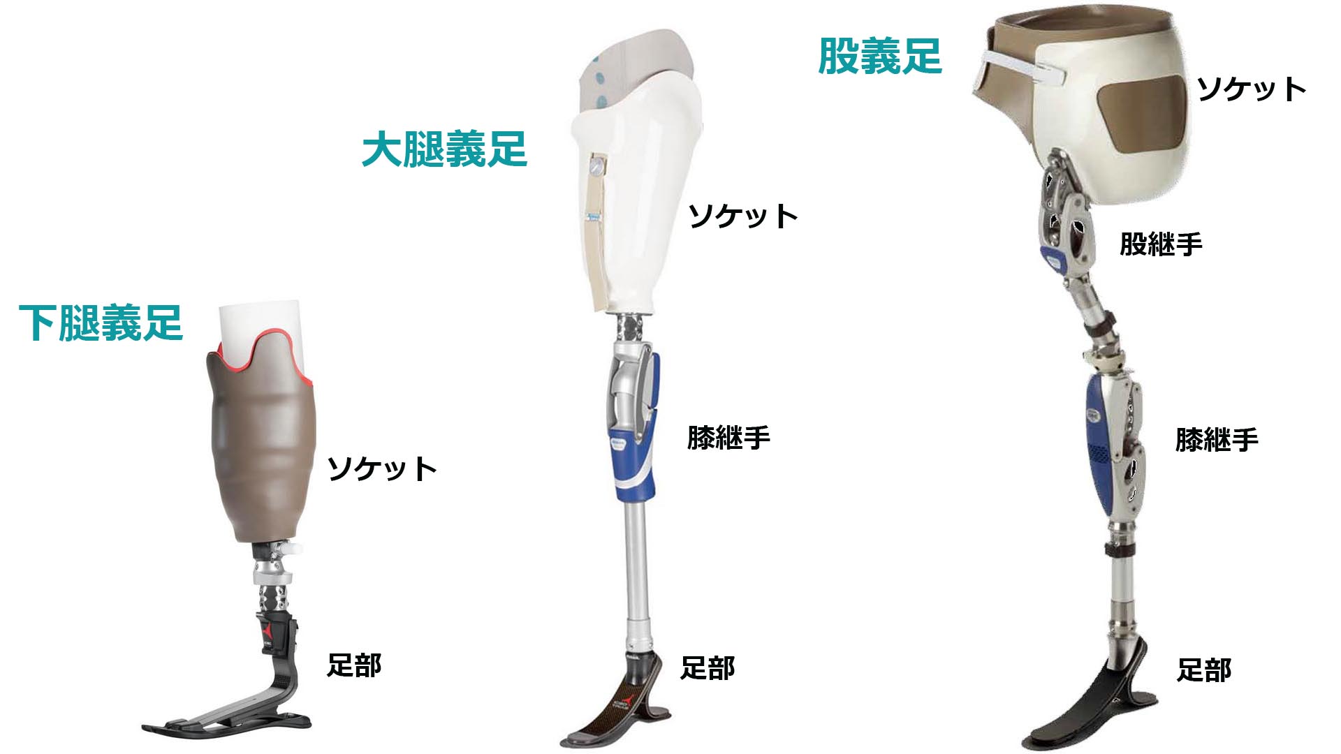 義足の種類と構造