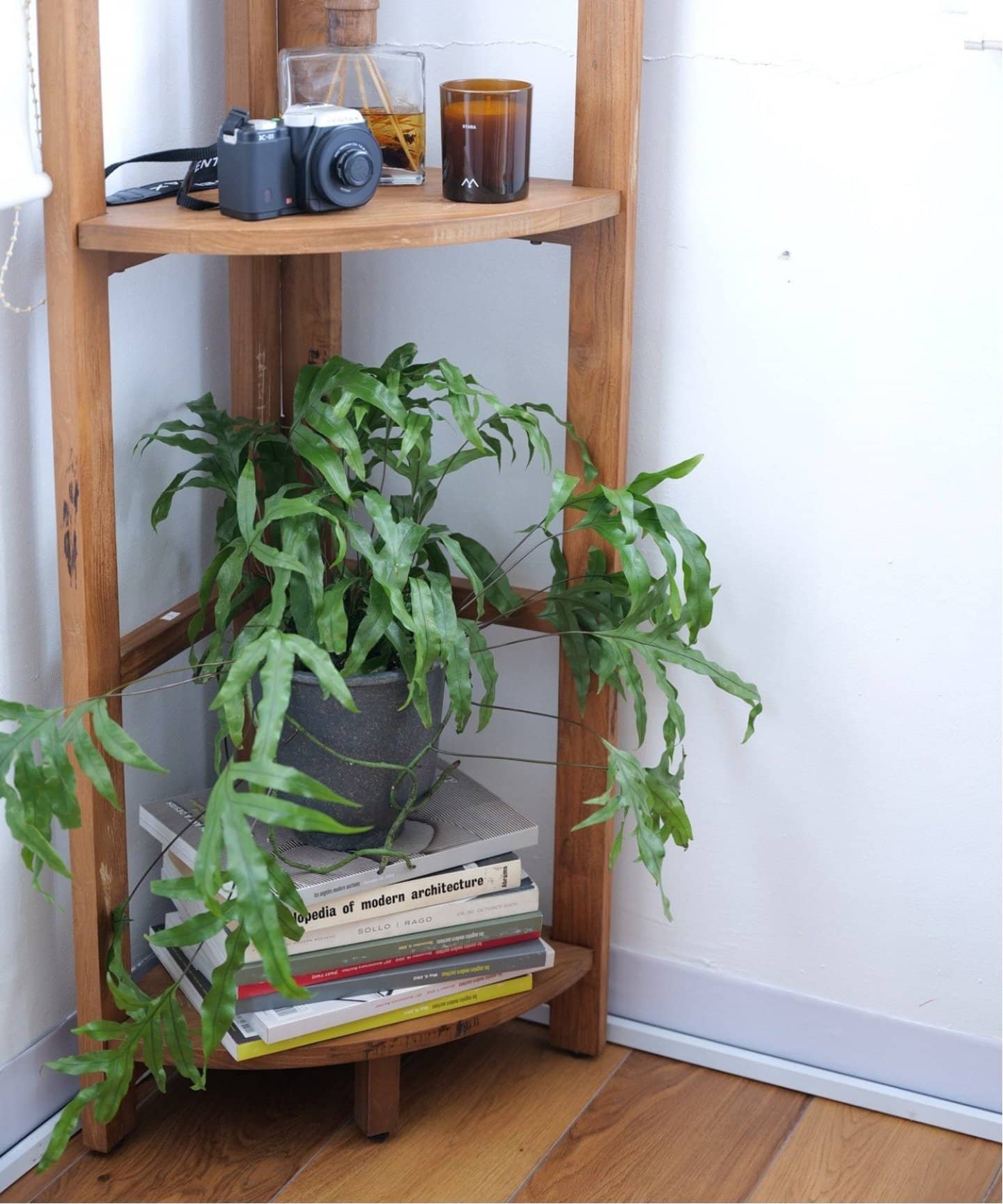 TROY CORNER SHELF S トロイコーナシェルフ（収納家具）｜ACME