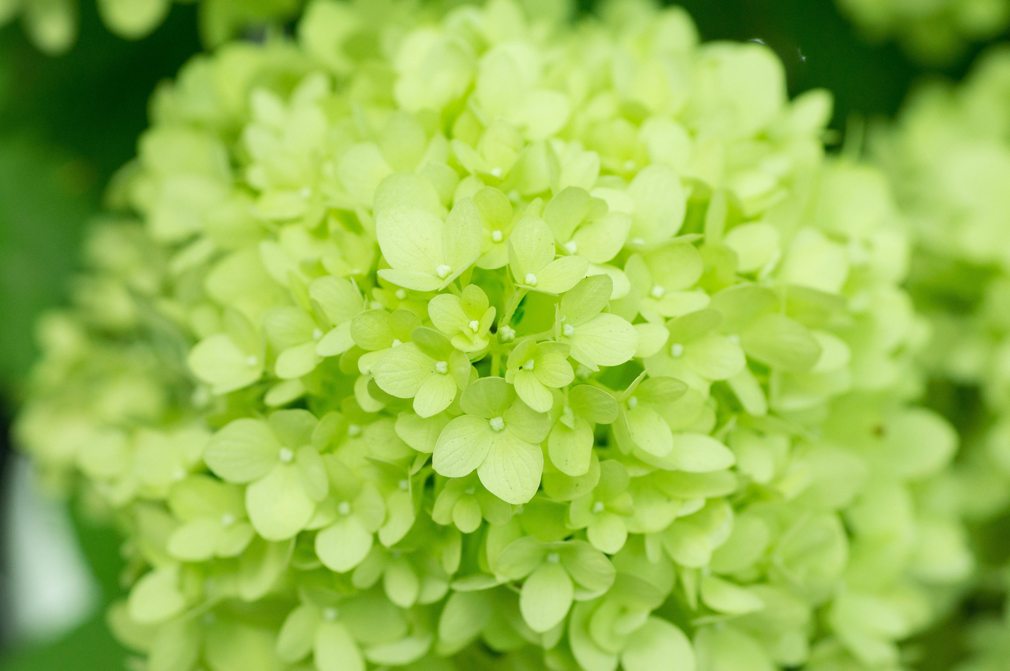 pixta_23991879_M.jpg?auto=