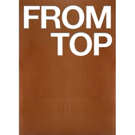 Official preorder TOP – 1ST PICTORIAL RECORDS [FROM TOP] — Dumber