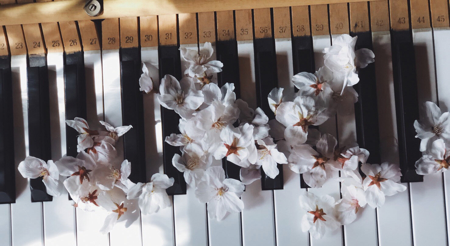 stardust album — haruka nakamura