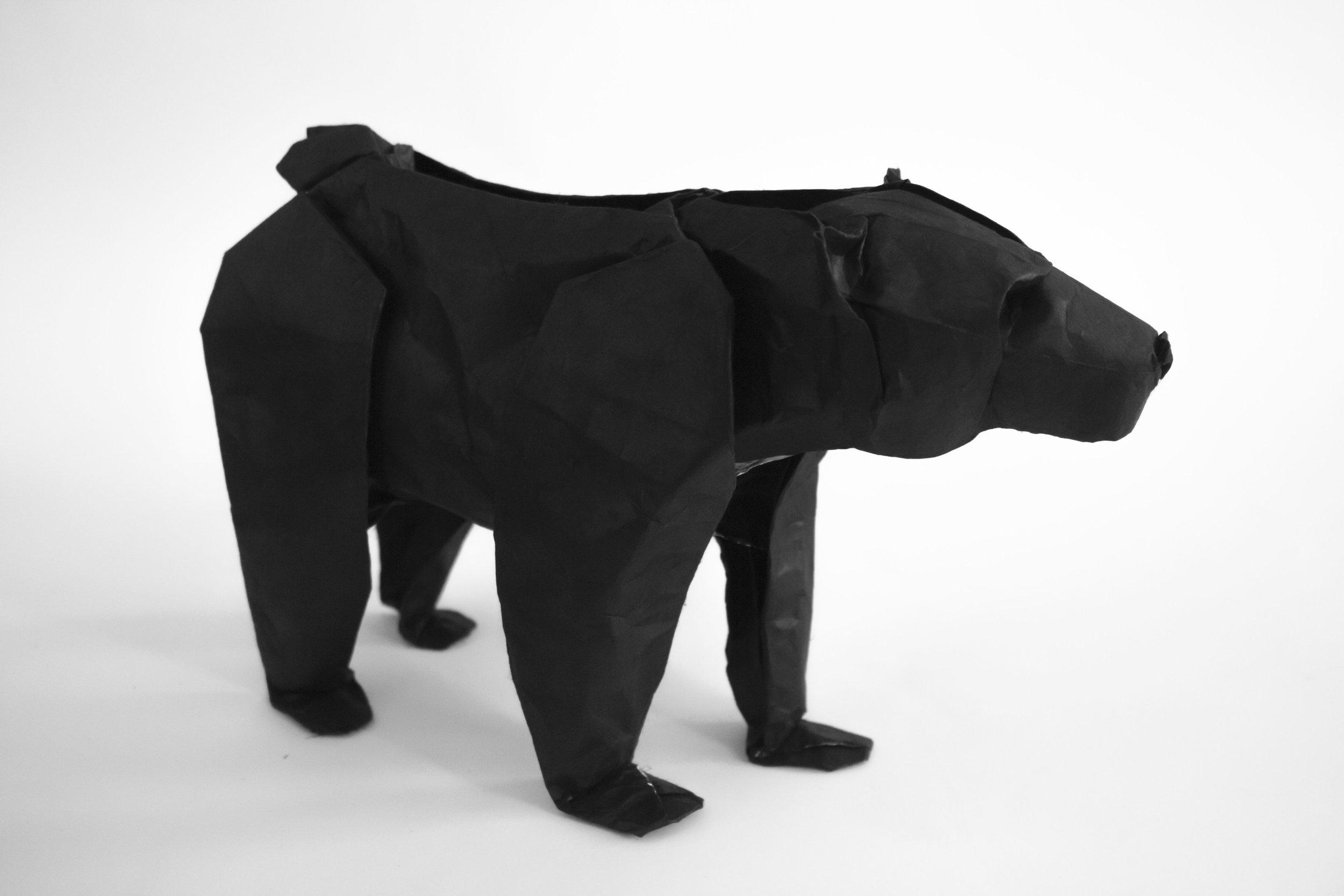 Folded Art: Origami Animals by Robert Salazar — California Nature