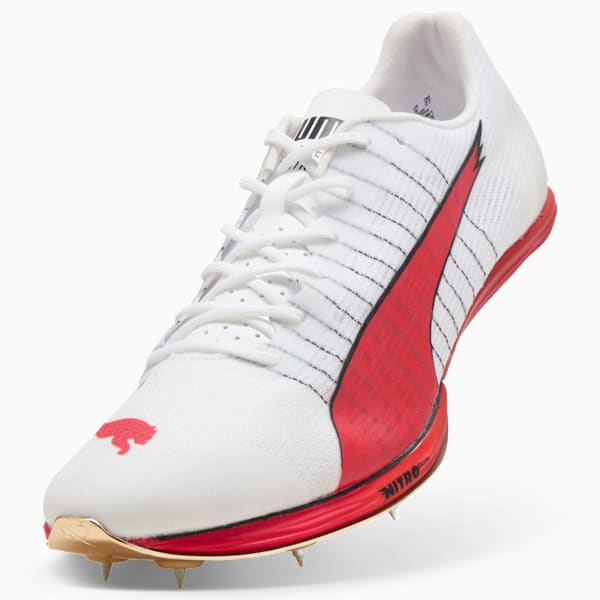 ユニセックス エヴォスピード フォルテ ニトロ エリート ファイヤー