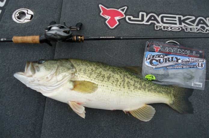 ポイズングロリアス人気10選！ポイズンアドレナと徹底比較！ | TSURI