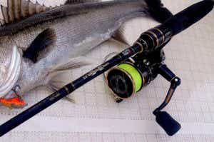 アブガルシアのおすすめロッド＆リール15選！ | TSURI HACK[釣りハック]