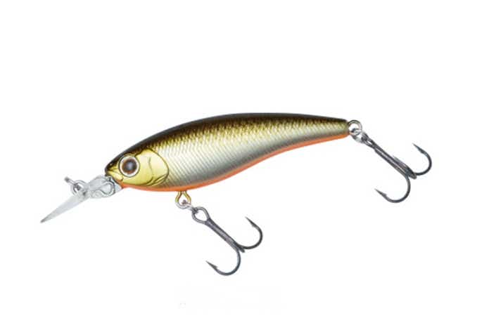 低活性時の切り札！？スティーズシャッドでナチュラルアプローチ