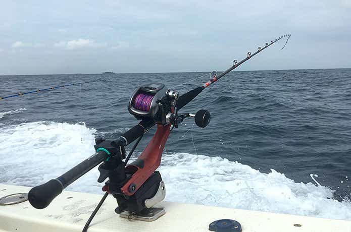 ライトゲームロッドでオフショア！？大人気のイカメタルで高級イカが